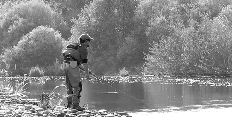 Pescando a Spinning en el Río Tera