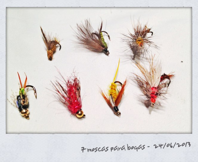 7 moscas para boga