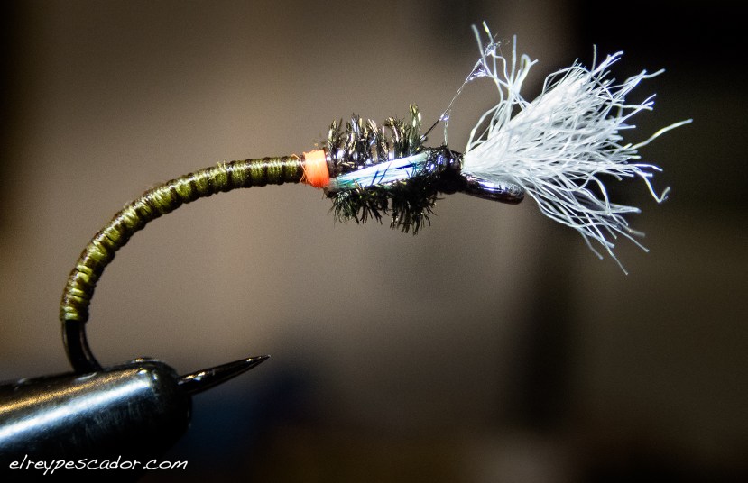 Ninfa quironómido / Chironomidae nymph