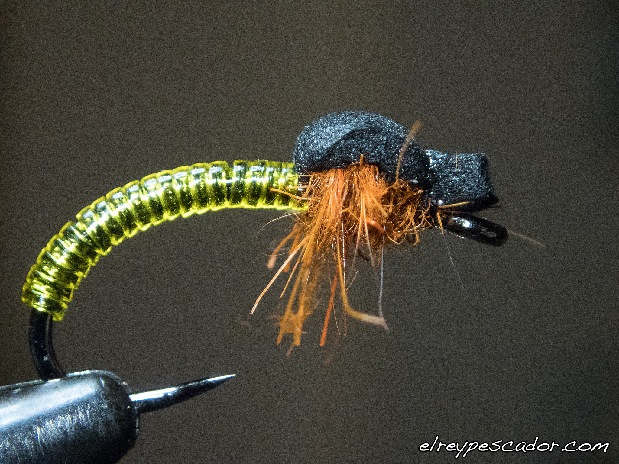 Ninfa quironómido / Chironomidae nymph