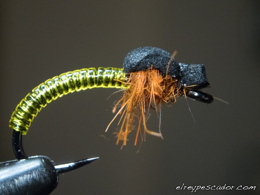 Ninfa quironómido / Chironomidae nymph