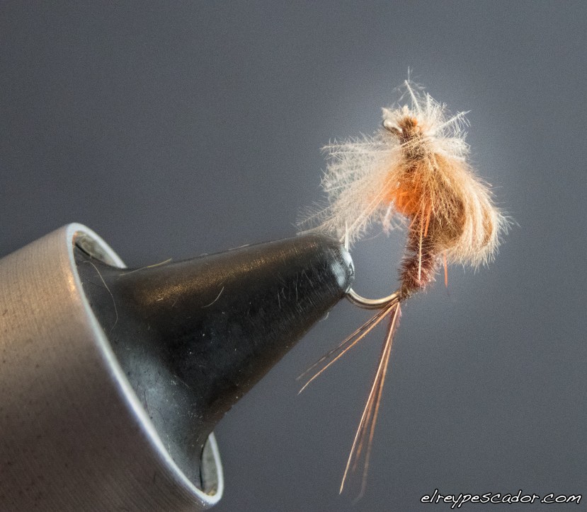 Emergente Faisán y CdC