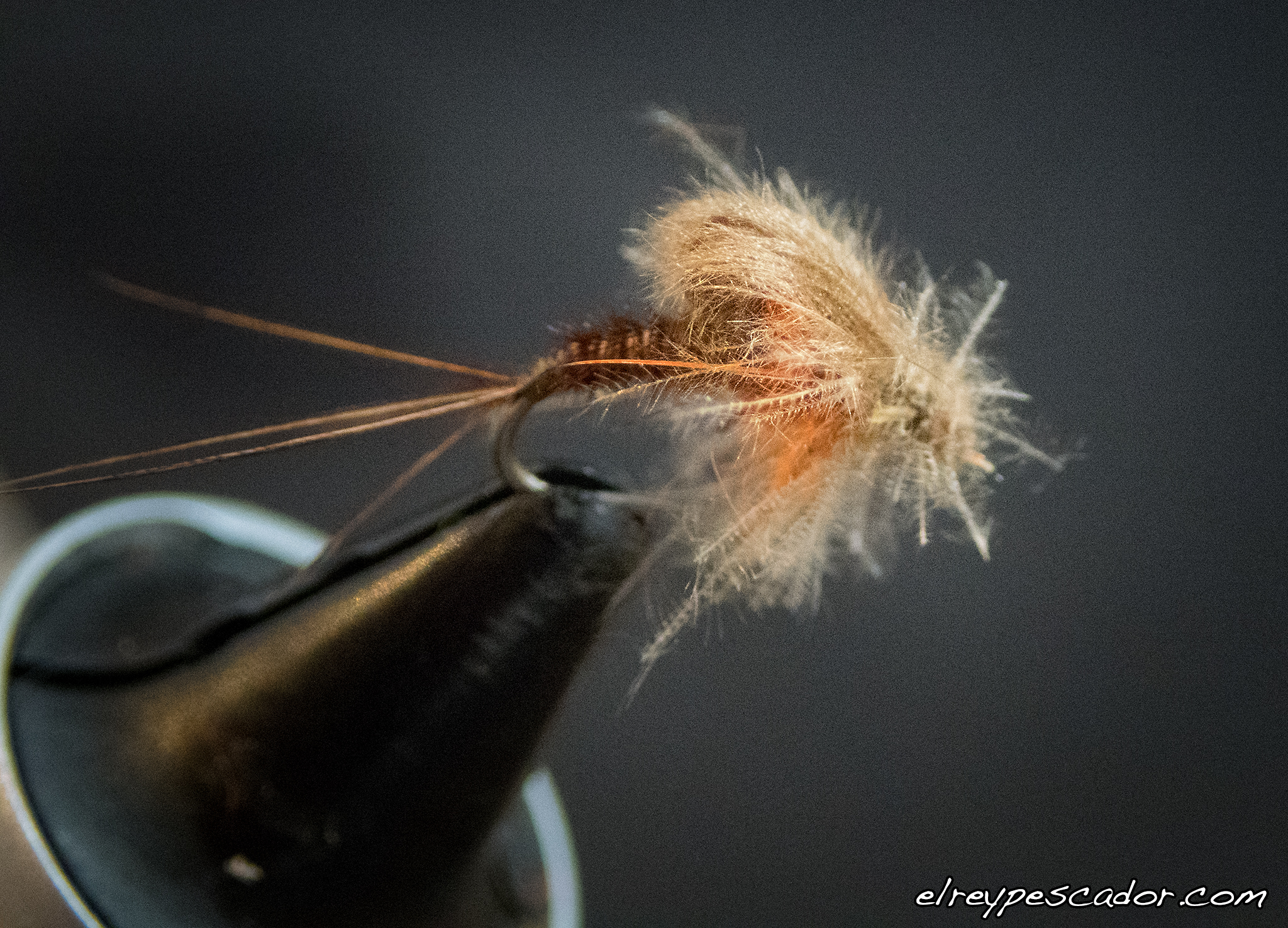 Emergente Faisán y CdC