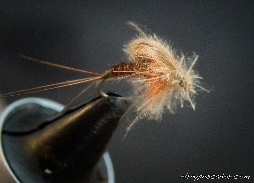 Emergente Faisán y CdC