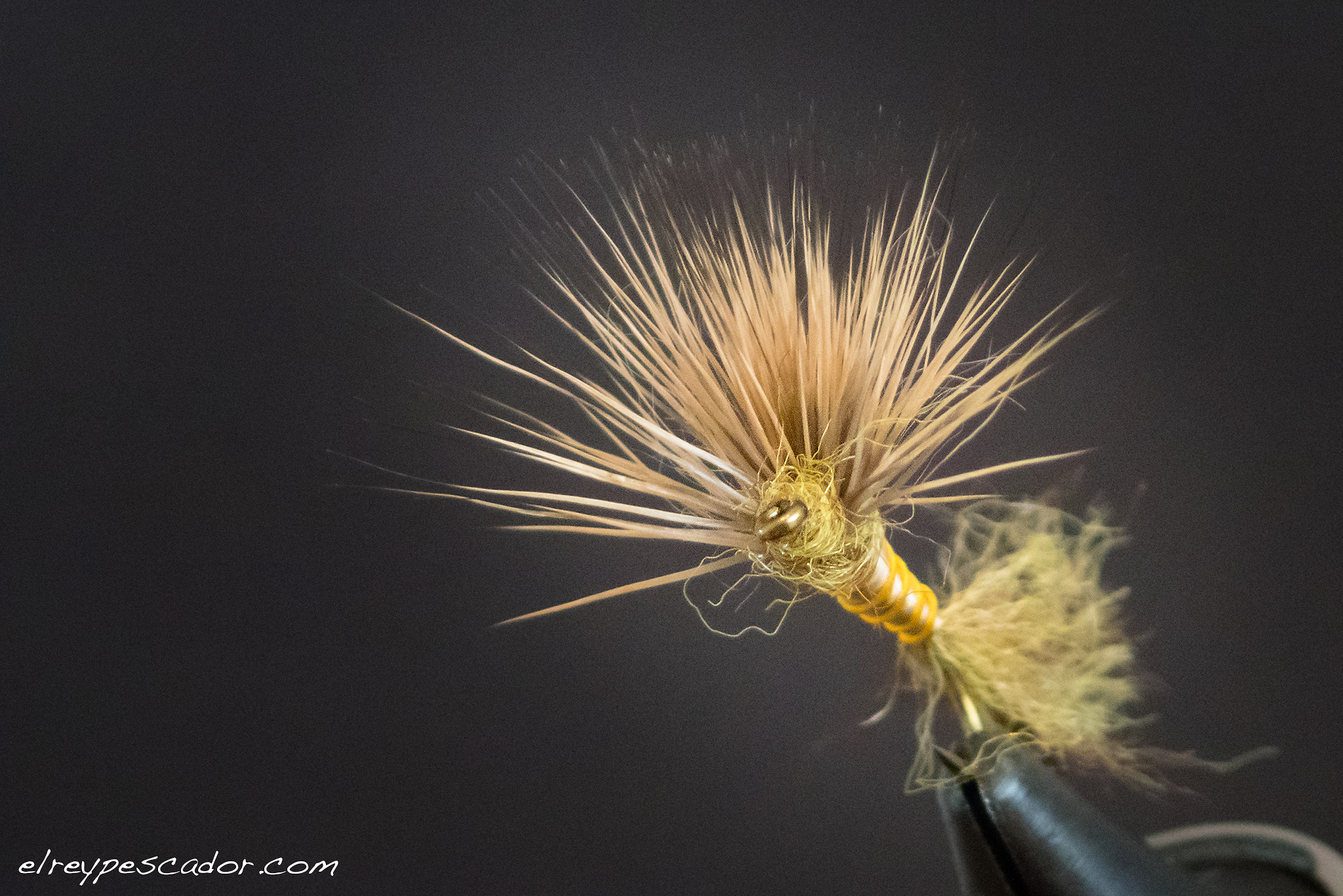 Emergente "pardón" en comparadun (pelo de ciervo)